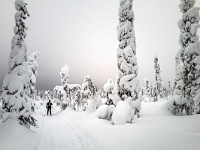 Riisitunturi National Park